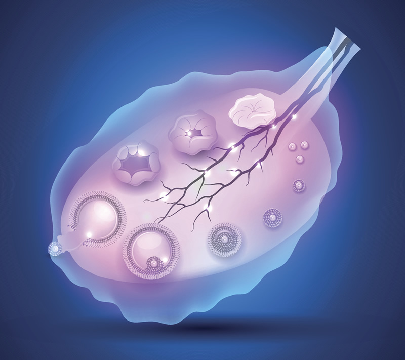 生孩子后会提前绝经吗,30+女性必看的生育时钟保护指南!
